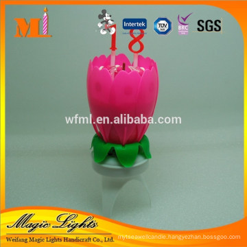Professional Produce Flower Music Birthday Candle